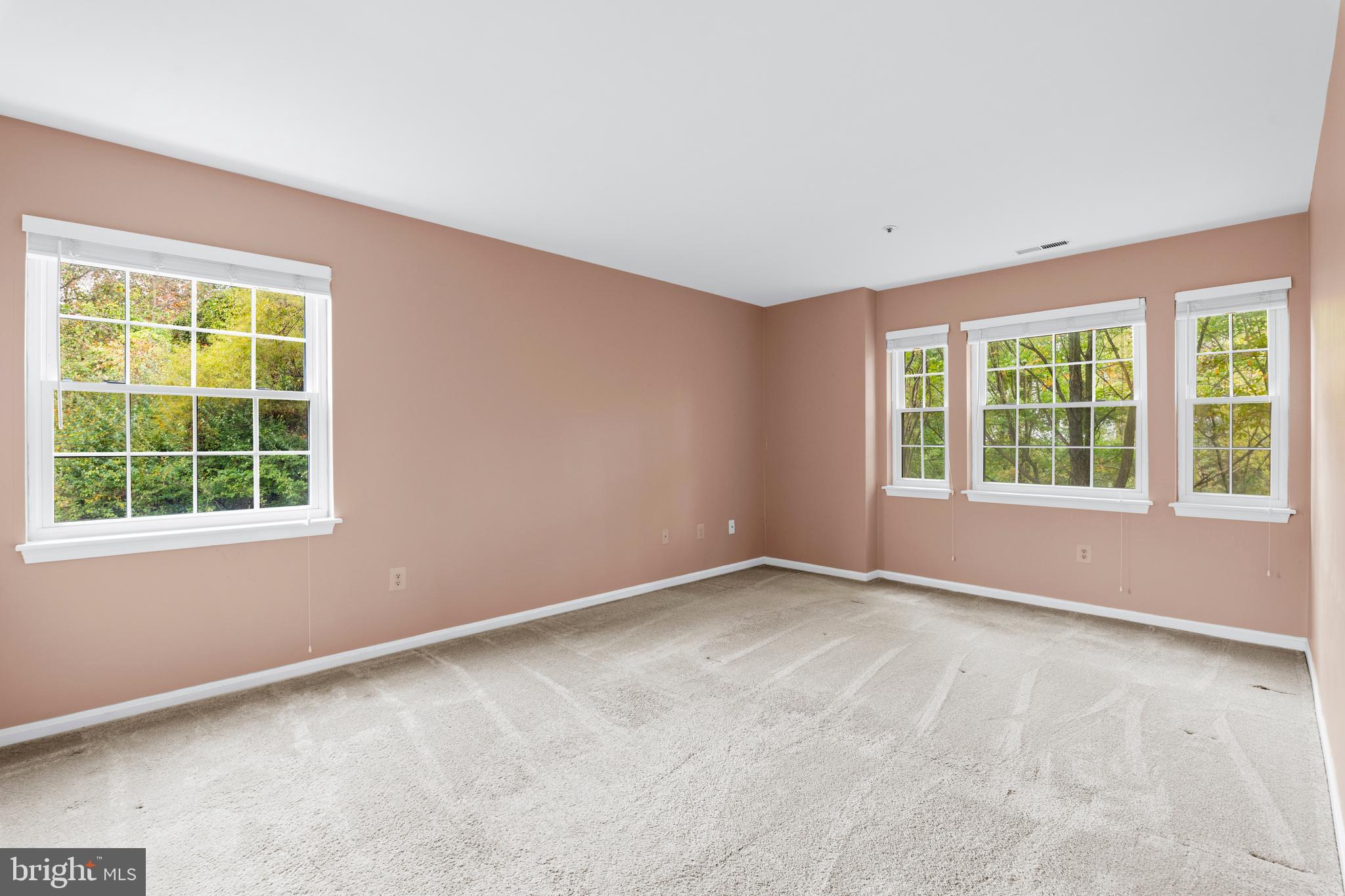 VILLAGE OF MONTGOMERY RUN - Residential