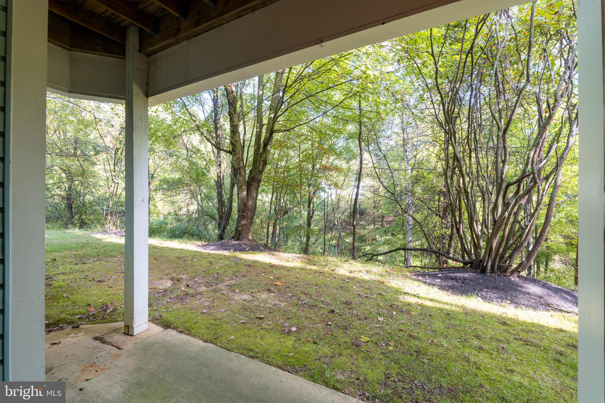 VILLAGE OF MONTGOMERY RUN - Residential