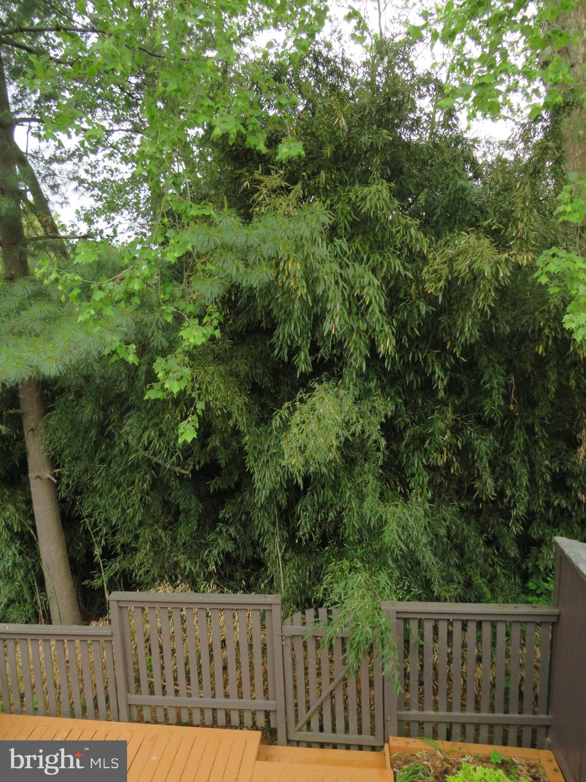 IVY OAK - Residential