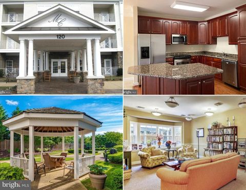 120 BURGESS HILL WAY 303 FREDERICK MD 21702