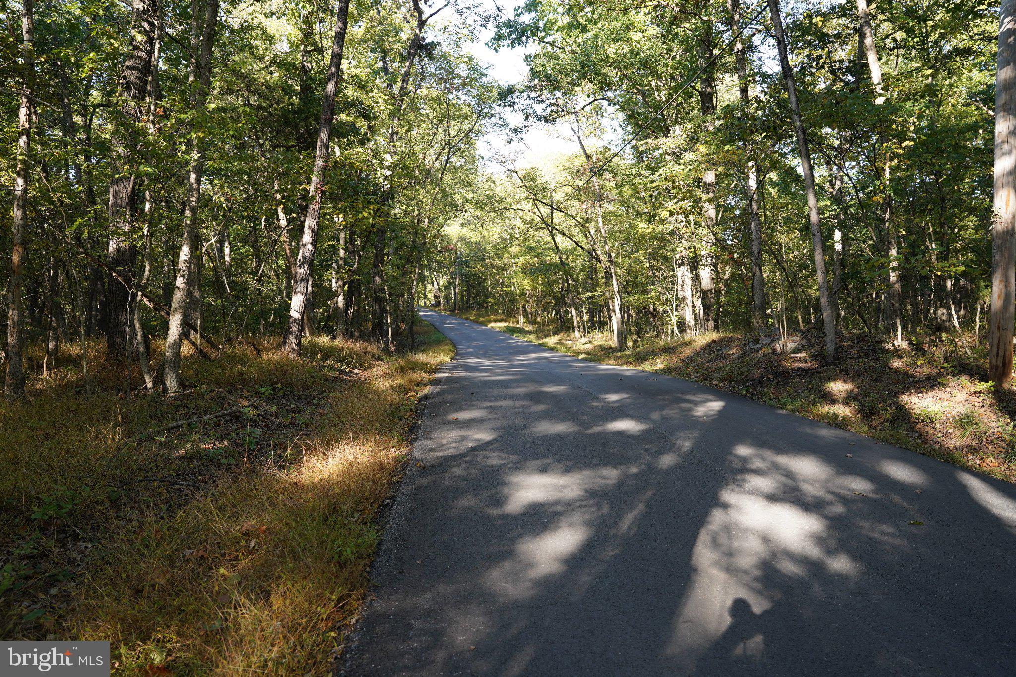 CEDAR LANE