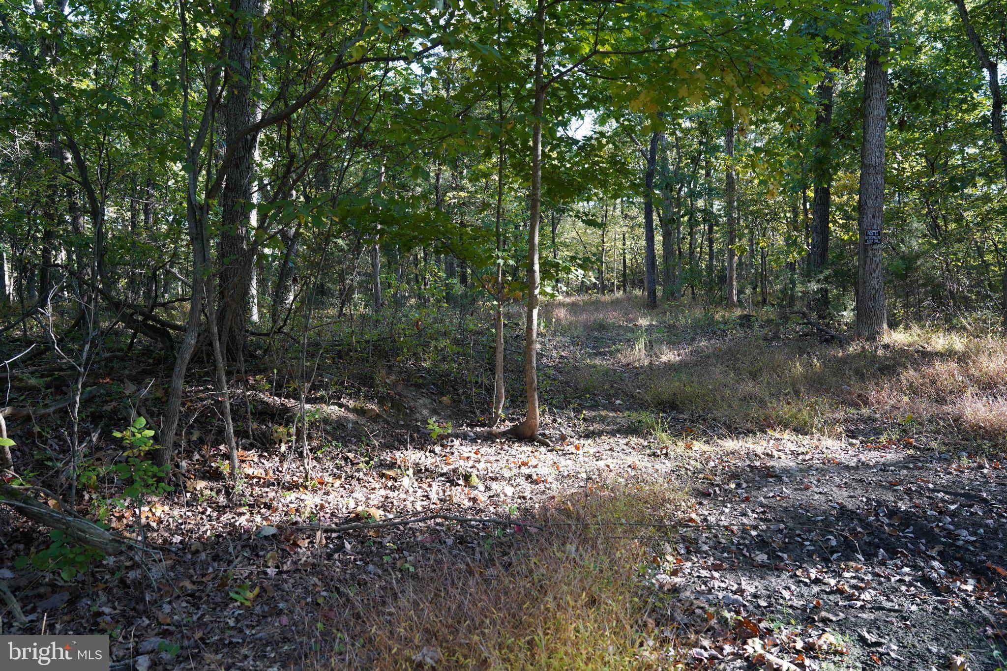 CEDAR LANE