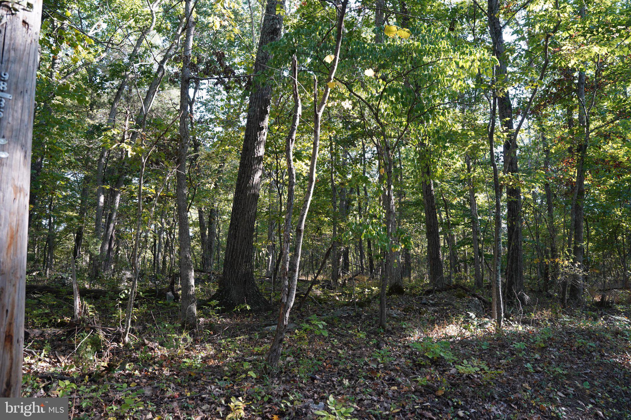 CEDAR LANE