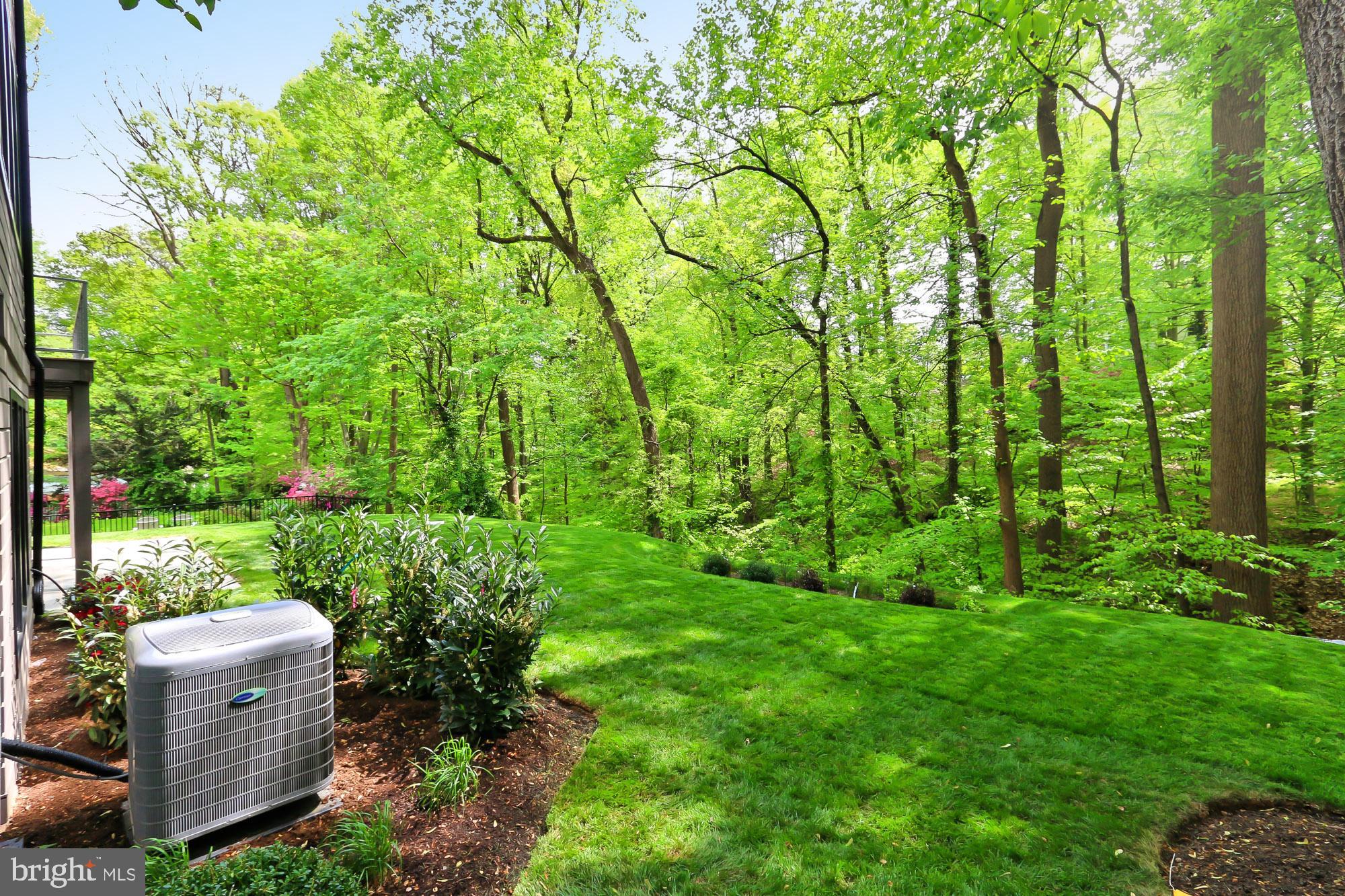 BELLEVUE FOREST - Residential