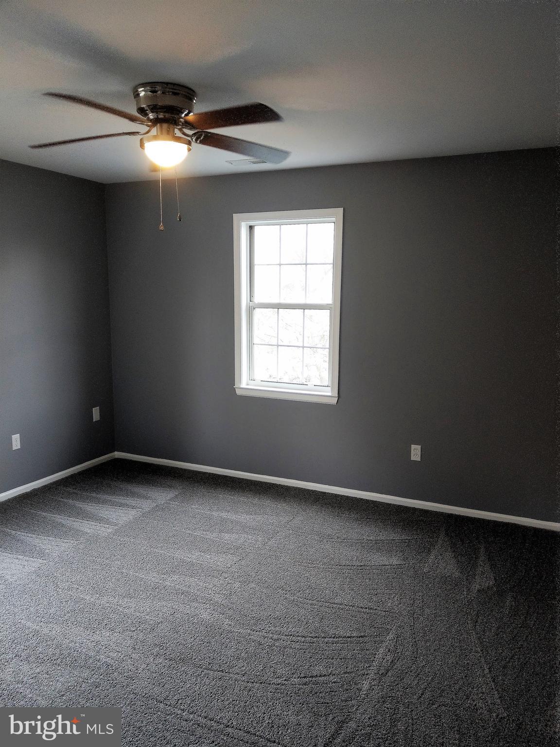 VILLAGE OF PAINTERS MILL - Residential