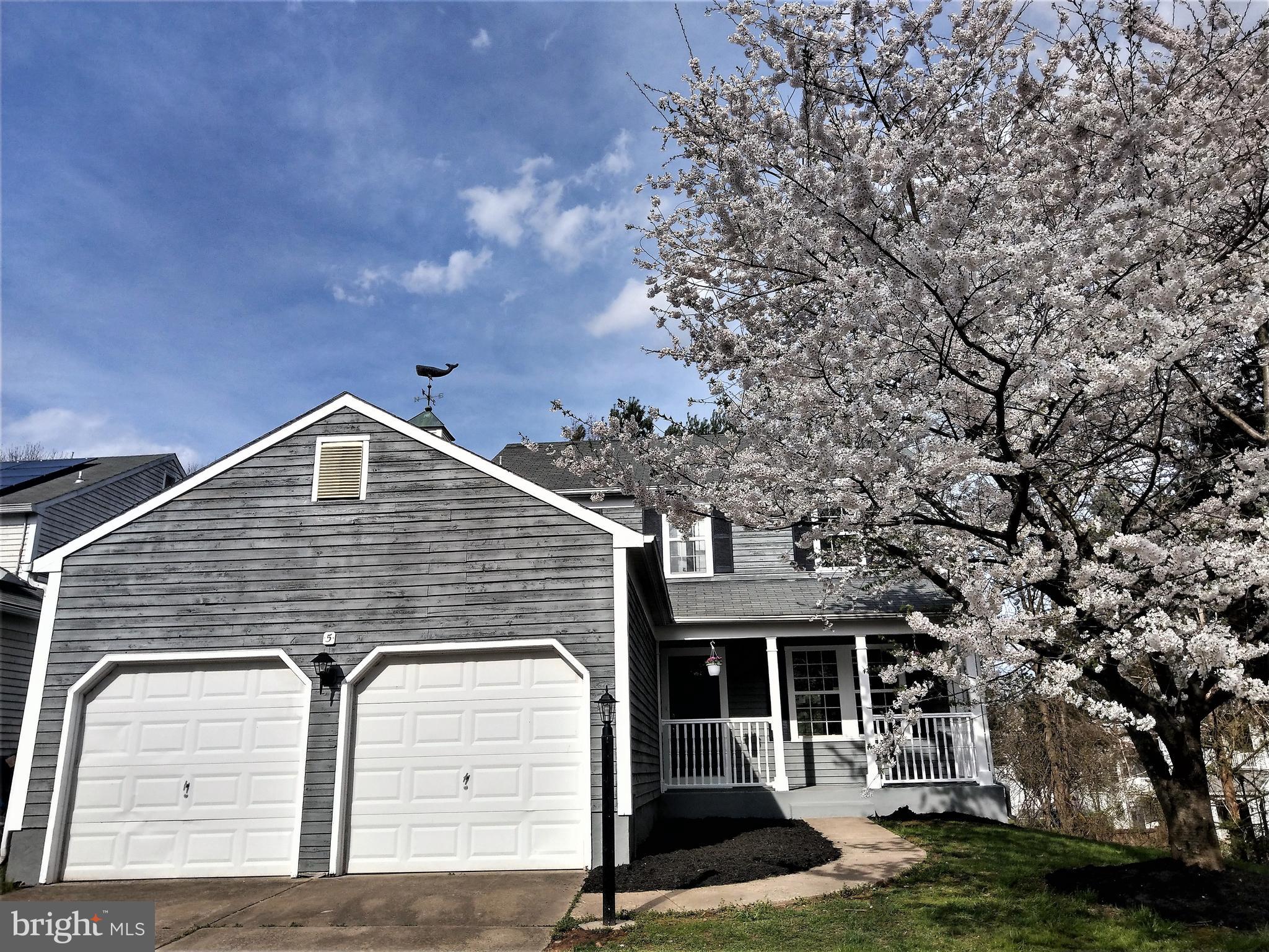 VILLAGE OF PAINTERS MILL - Residential