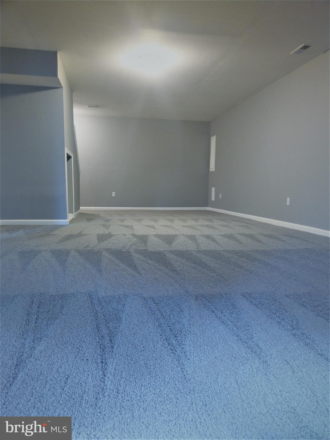 VILLAGE OF PAINTERS MILL - Residential