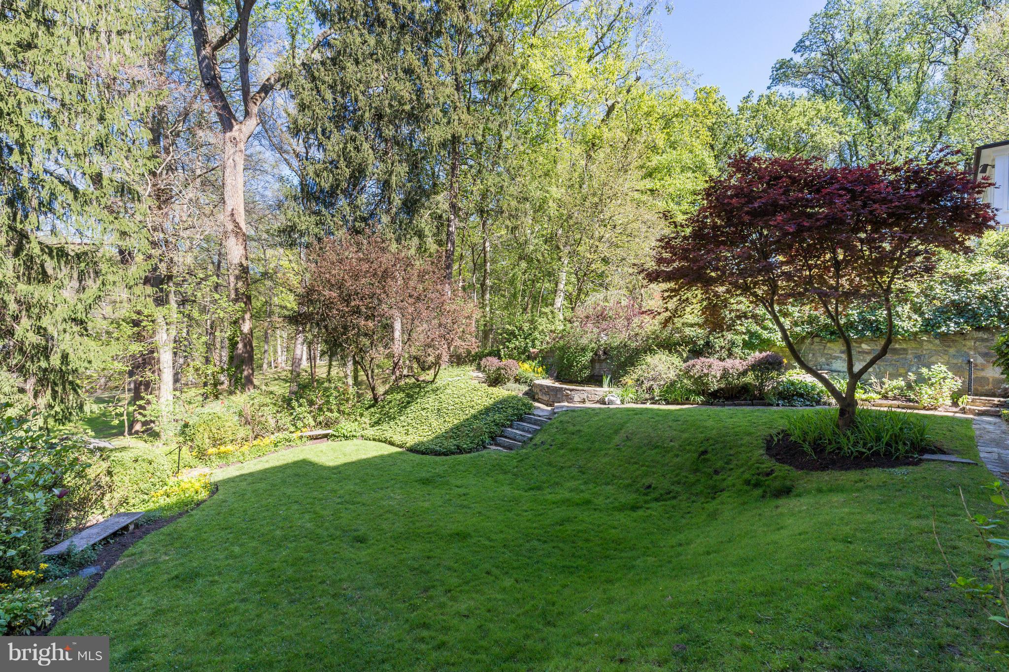 FOREST HILLS - Residential