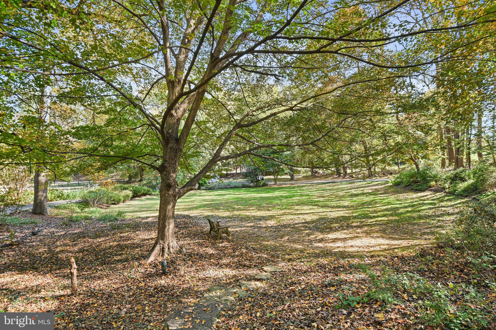 LEOPOLDO ARAGON - Residential