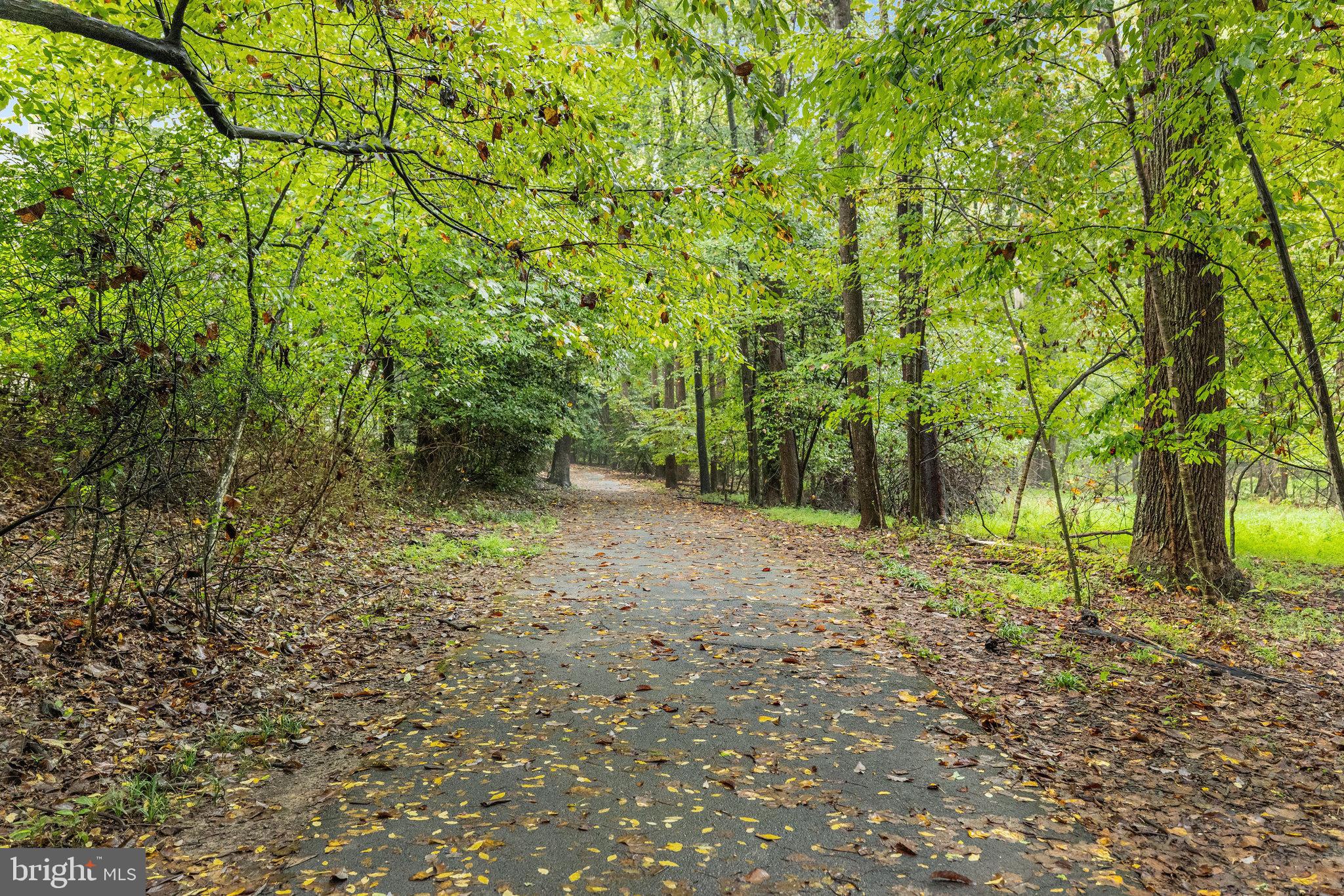 BRISTOL HOUSE - Residential