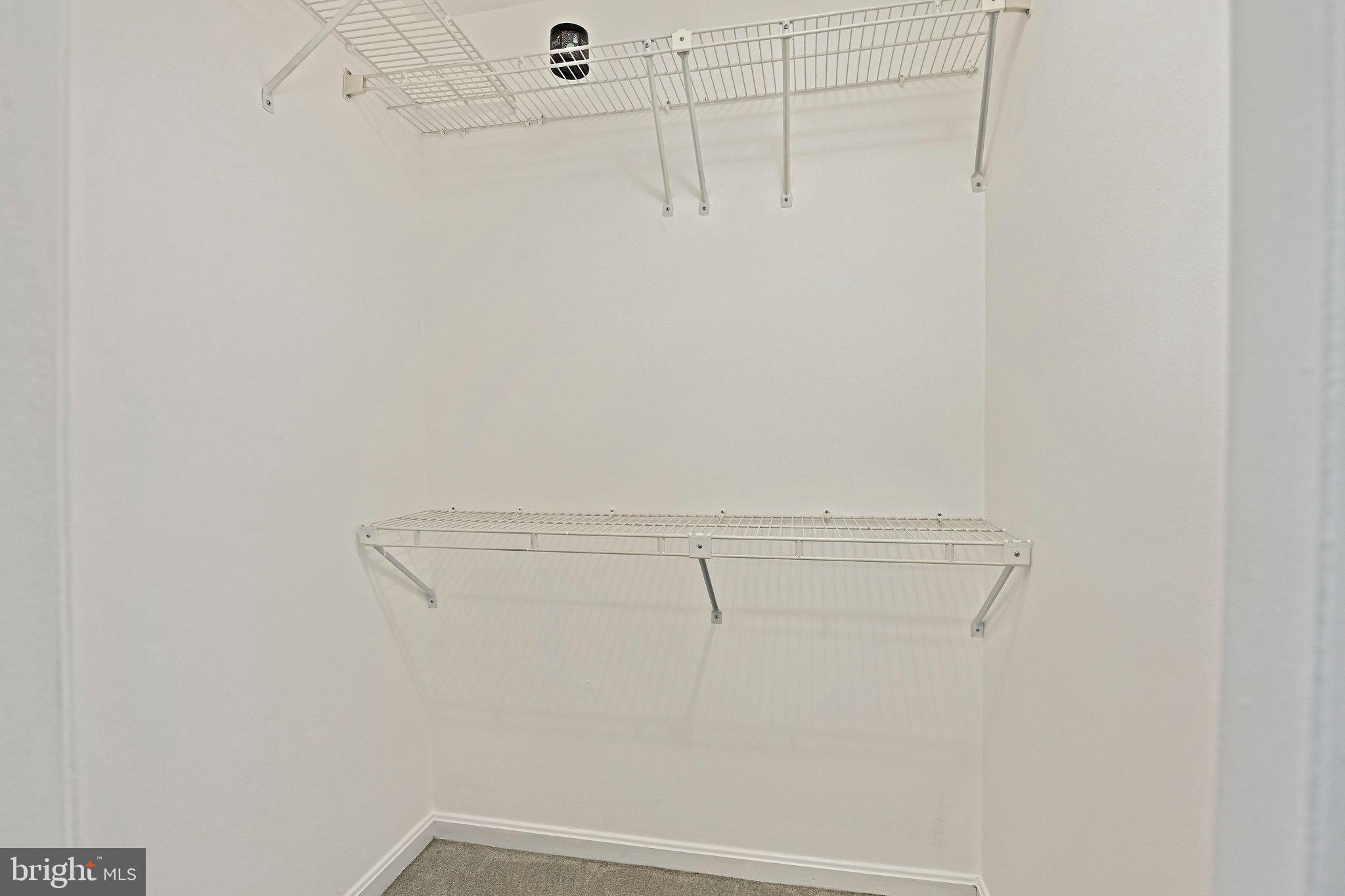 BRISTOL HOUSE - Residential