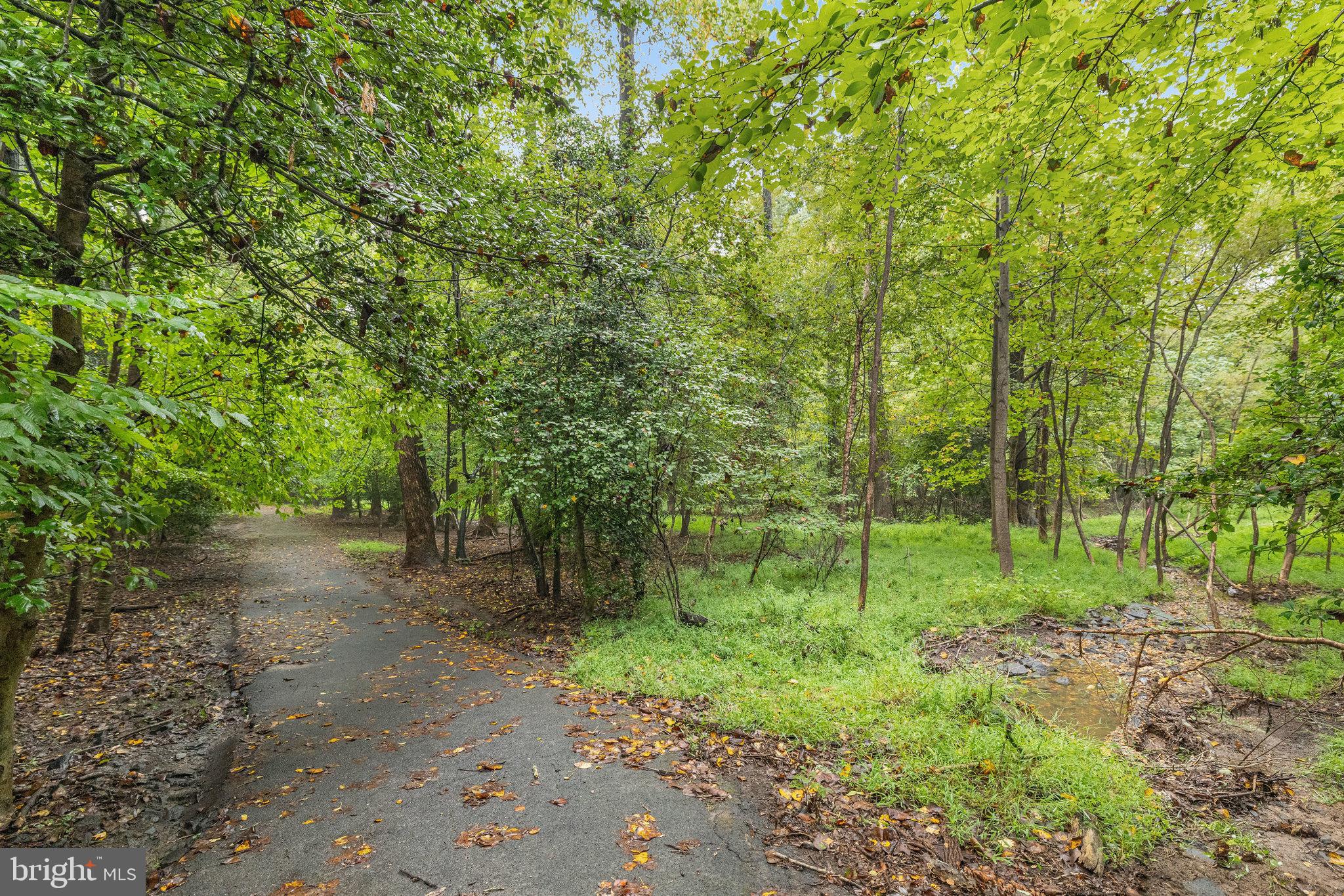 BRISTOL HOUSE - Residential