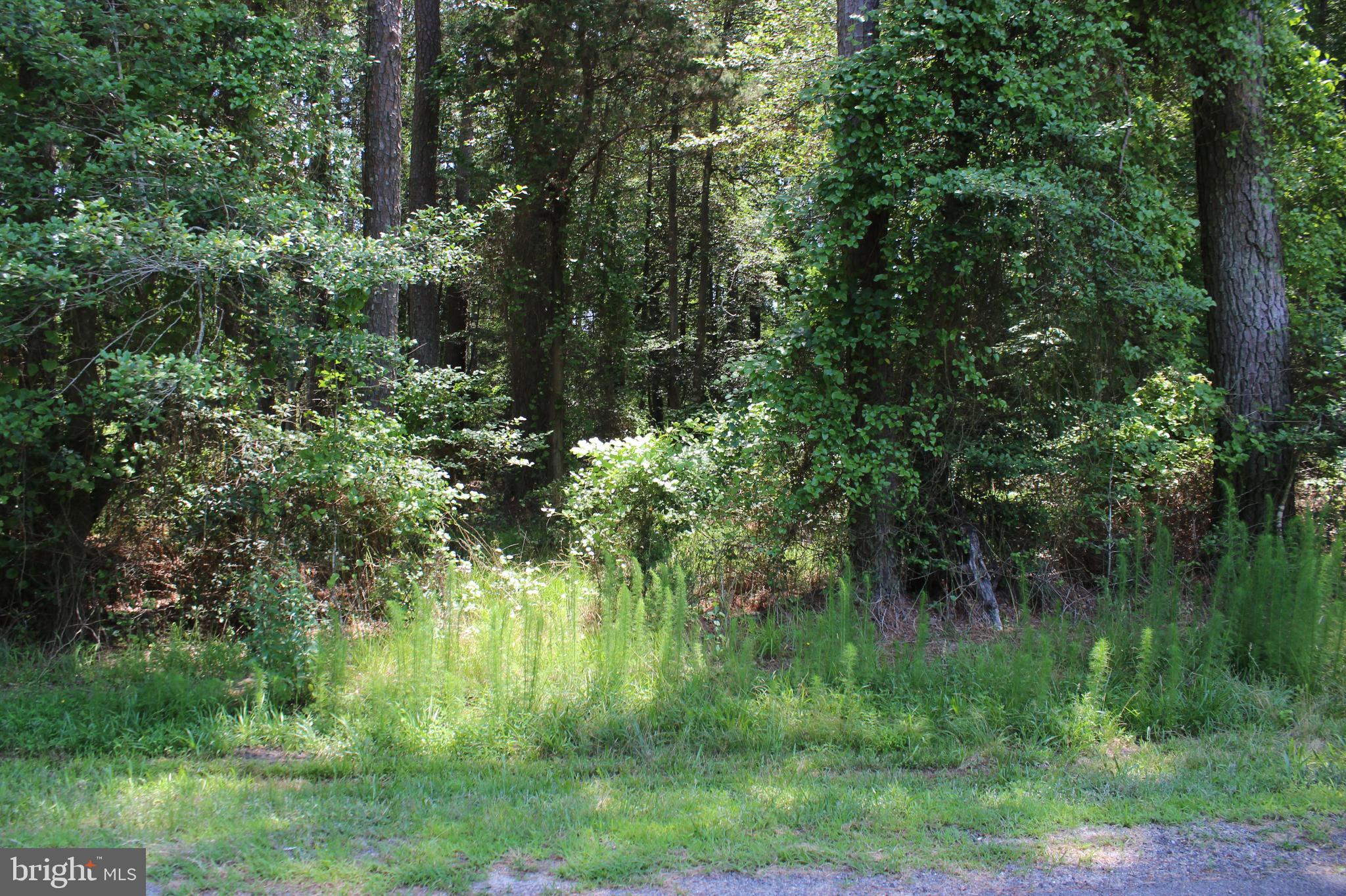 1/1075 Level, wooded lot with water & sewer availability and just minutes away from all the amenities. Buy now and build later, take advantage of this great buy! No time frame to build and No Builder Tie-in. Come and enjoy all the amenities and the lifestyle on the Eastern Shore of VA close to Chincoteague Island, Wallops Island and Ocean City MD. Captains Cove is the fastest growing Golf & Waterfront community on the Eastern Shore of VA. HOA amenities: Pristine 9 Hole Golf Course, indoor/outdoor pools (2), fitness center, tennis, pickle ball & basketball courts, playground, boat ramp, security, biking & walking trails, playground, picnic area, security and more...Call today for more information.