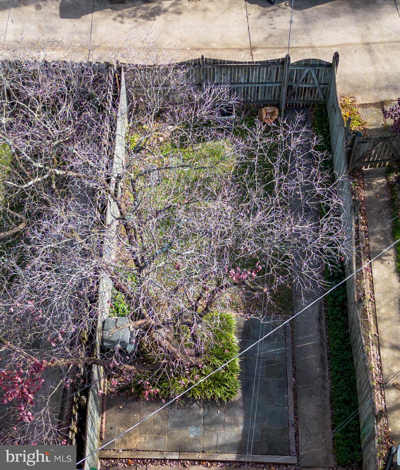 RODGERS FORGE - Residential Lease