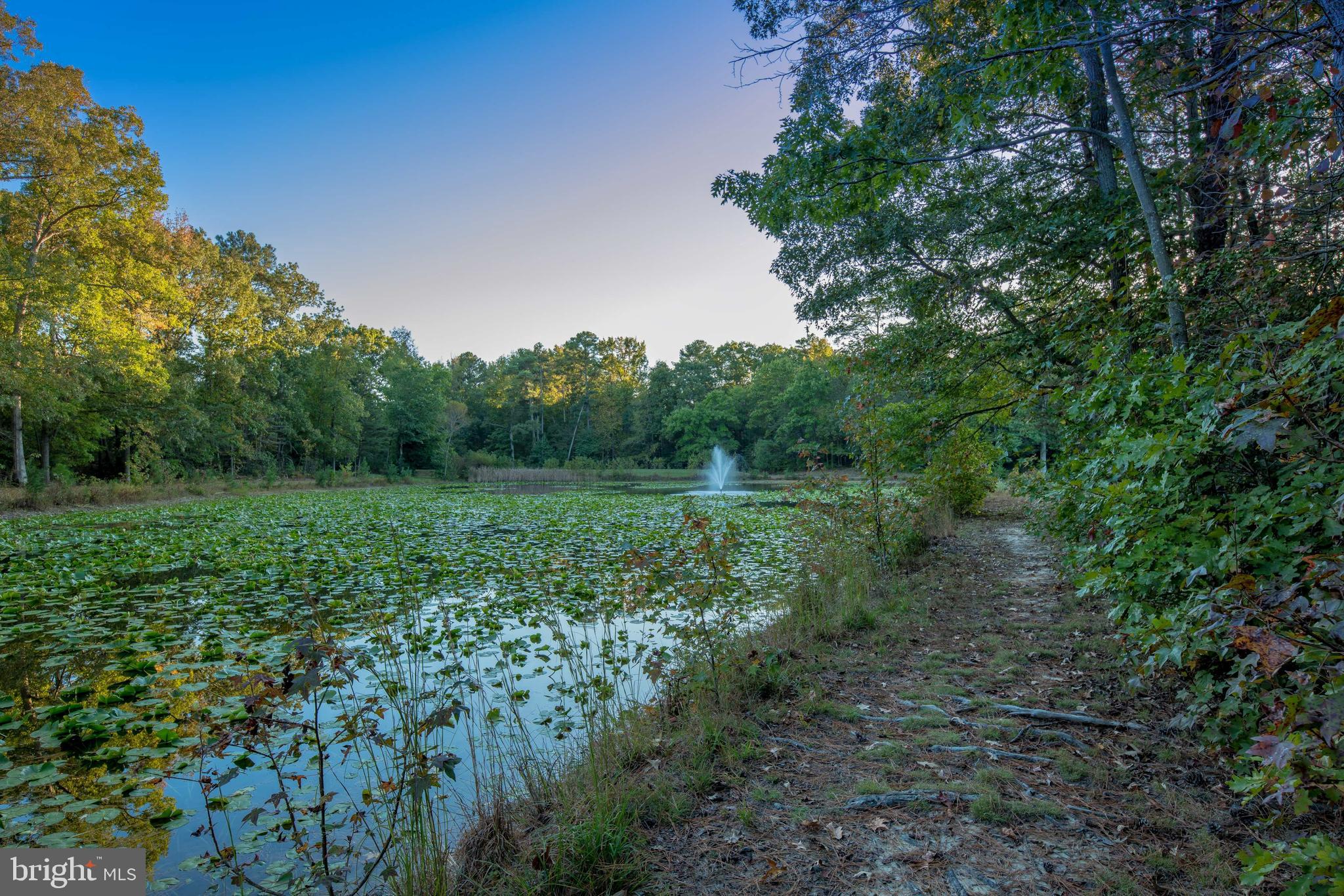 WILDEWOOD - Residential