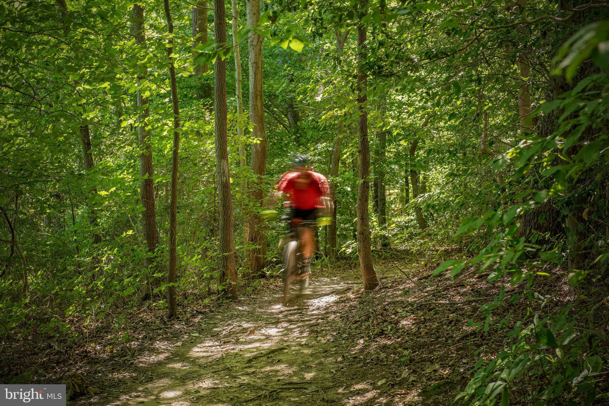 WILDEWOOD - Residential