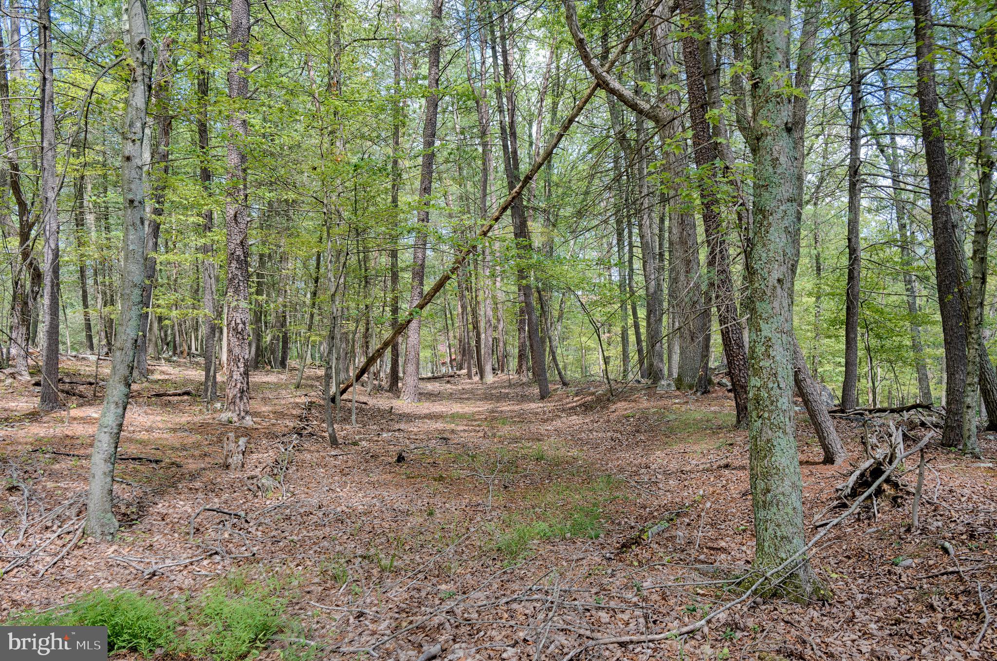 CACAPON RIVER RAPIDS - Residential