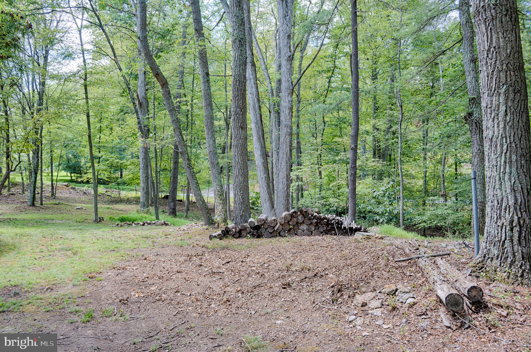 CACAPON RIVER RAPIDS - Residential