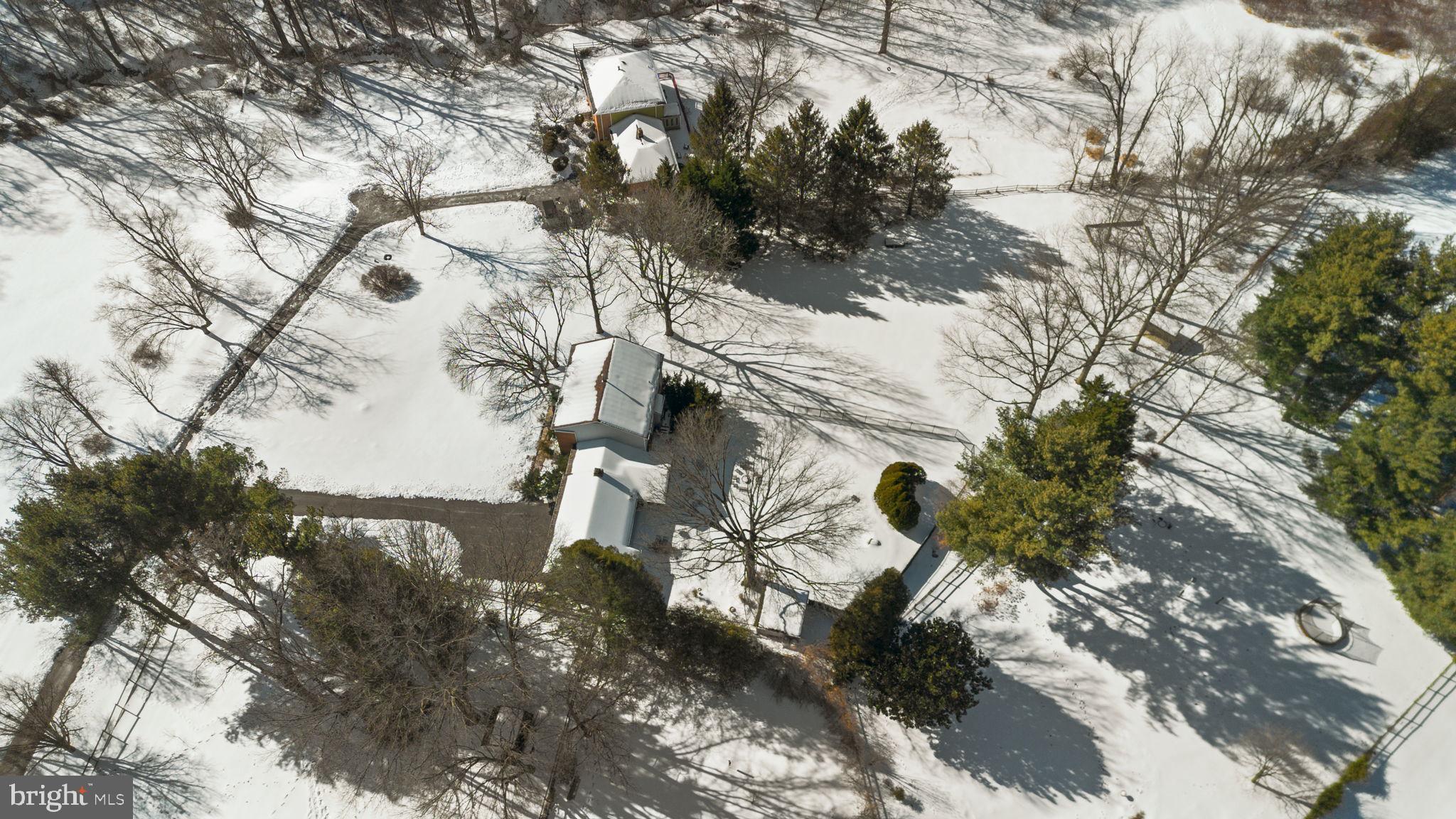 ANCIENT OAK - Residential