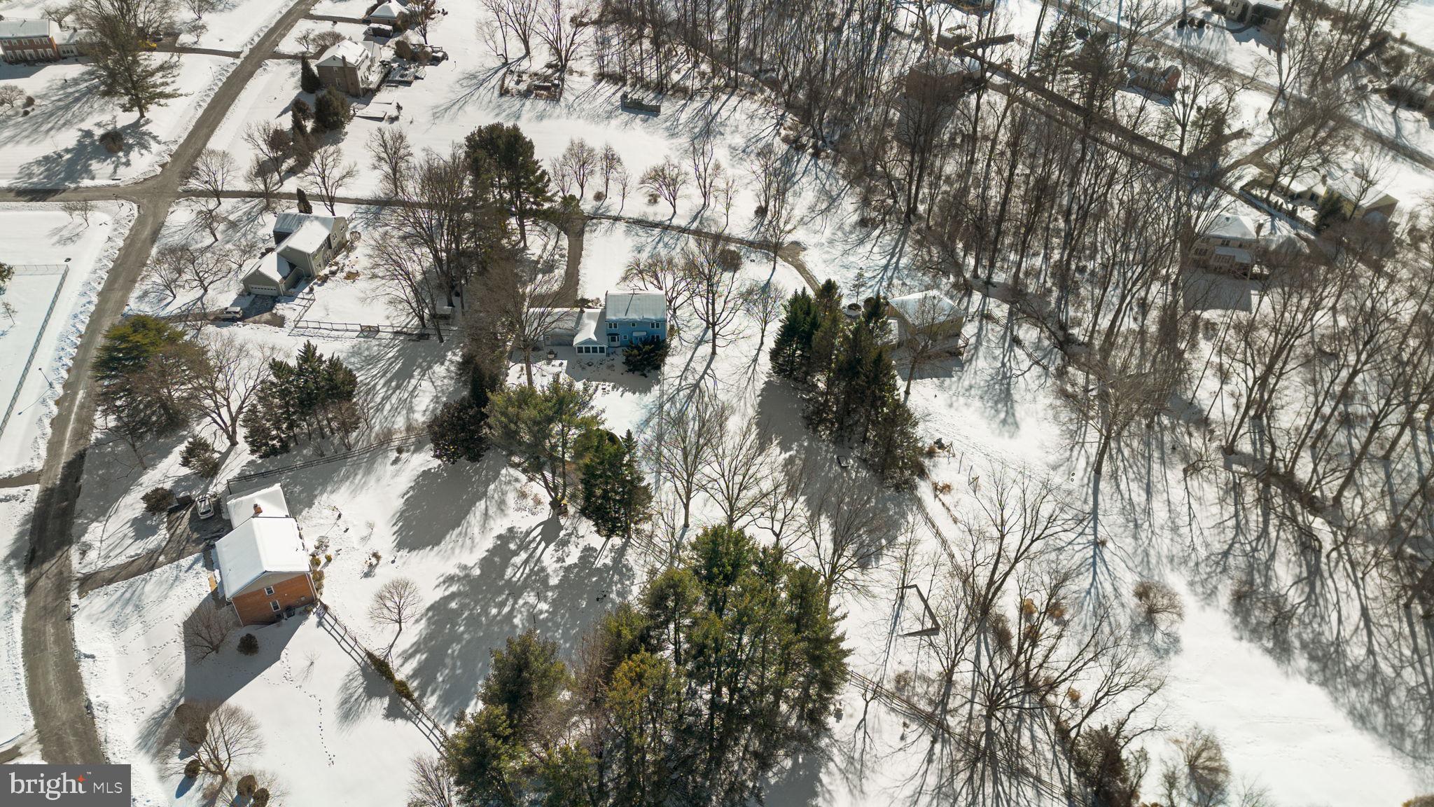 ANCIENT OAK - Residential