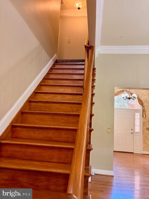 THE FOREST AT HUNTERS MI - Residential Lease