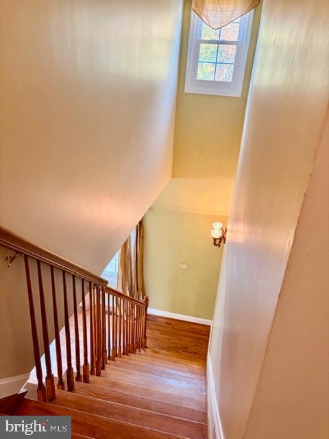 THE FOREST AT HUNTERS MI - Residential Lease