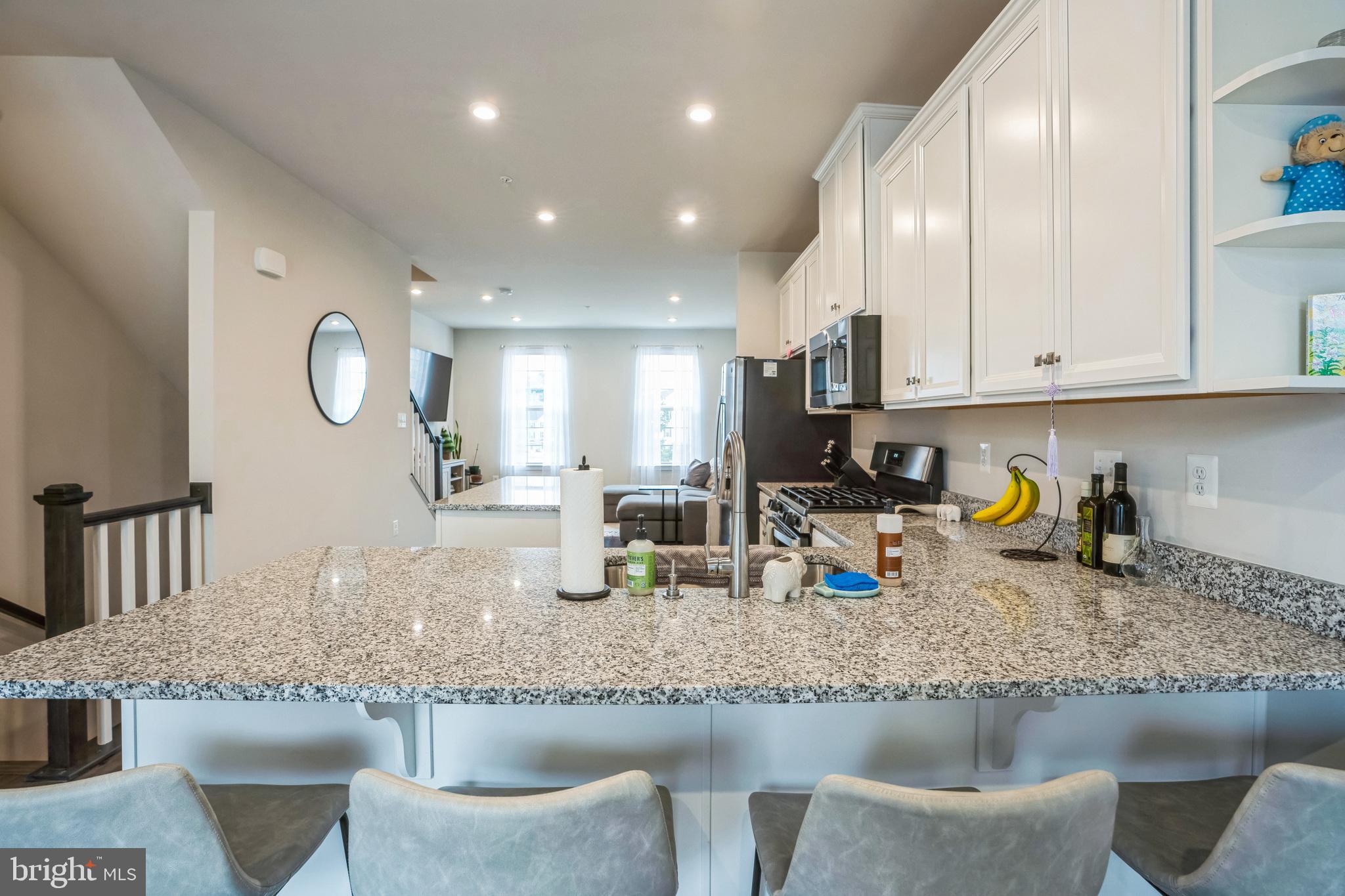 MONTGOMERY VILLAGE - Residential