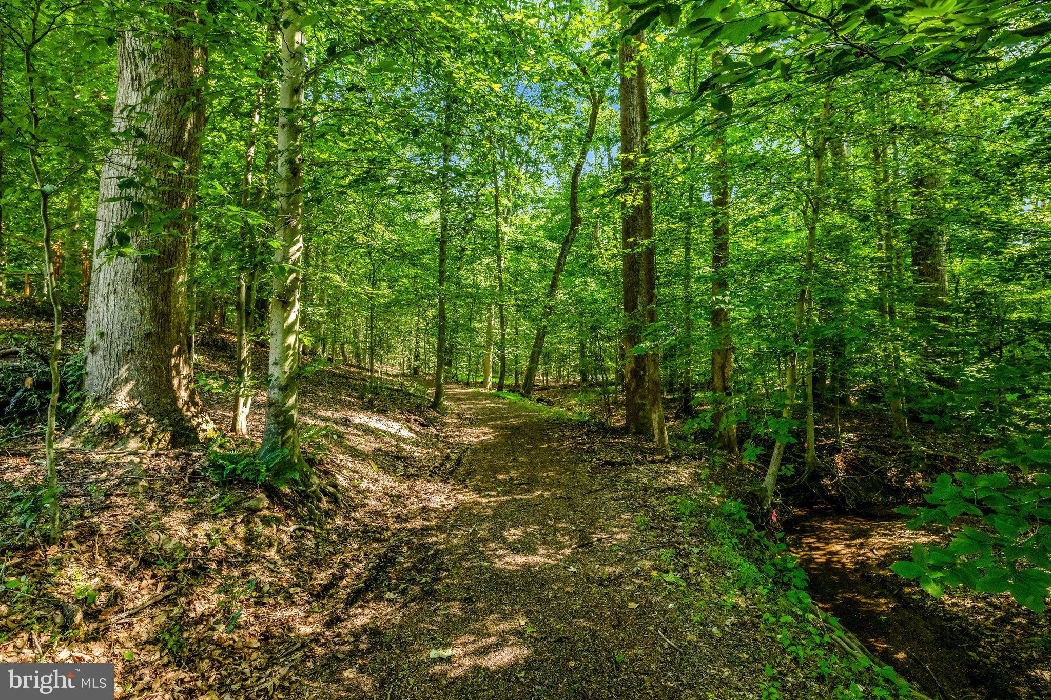 RIVER BEND ESTATES - Residential