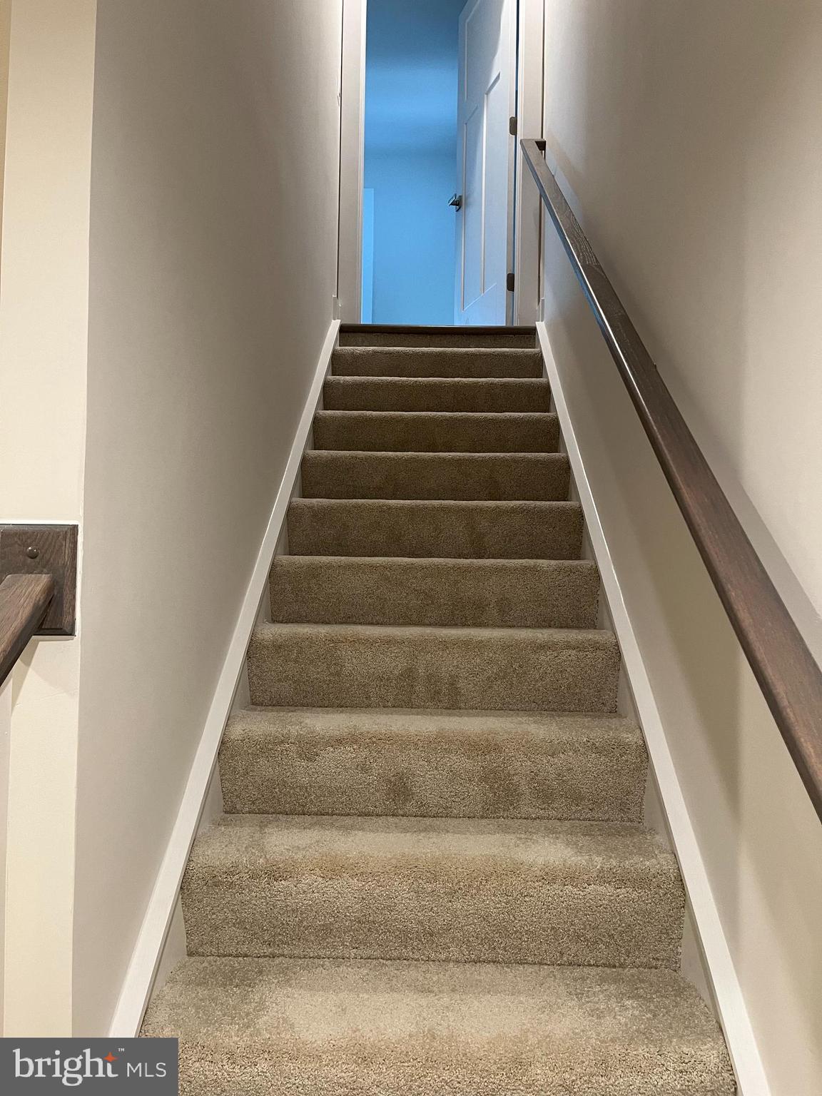 CARDINAL POINTE - Residential Lease