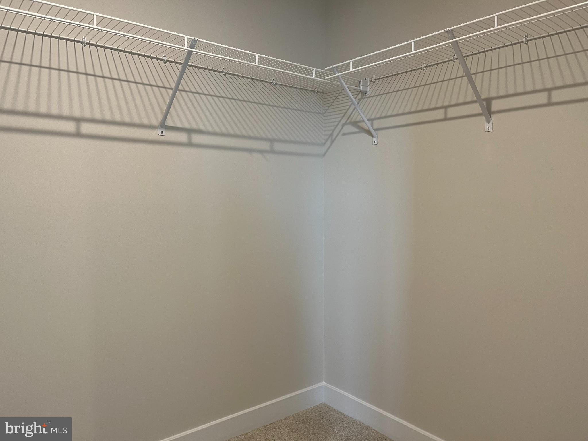 CARDINAL POINTE - Residential Lease