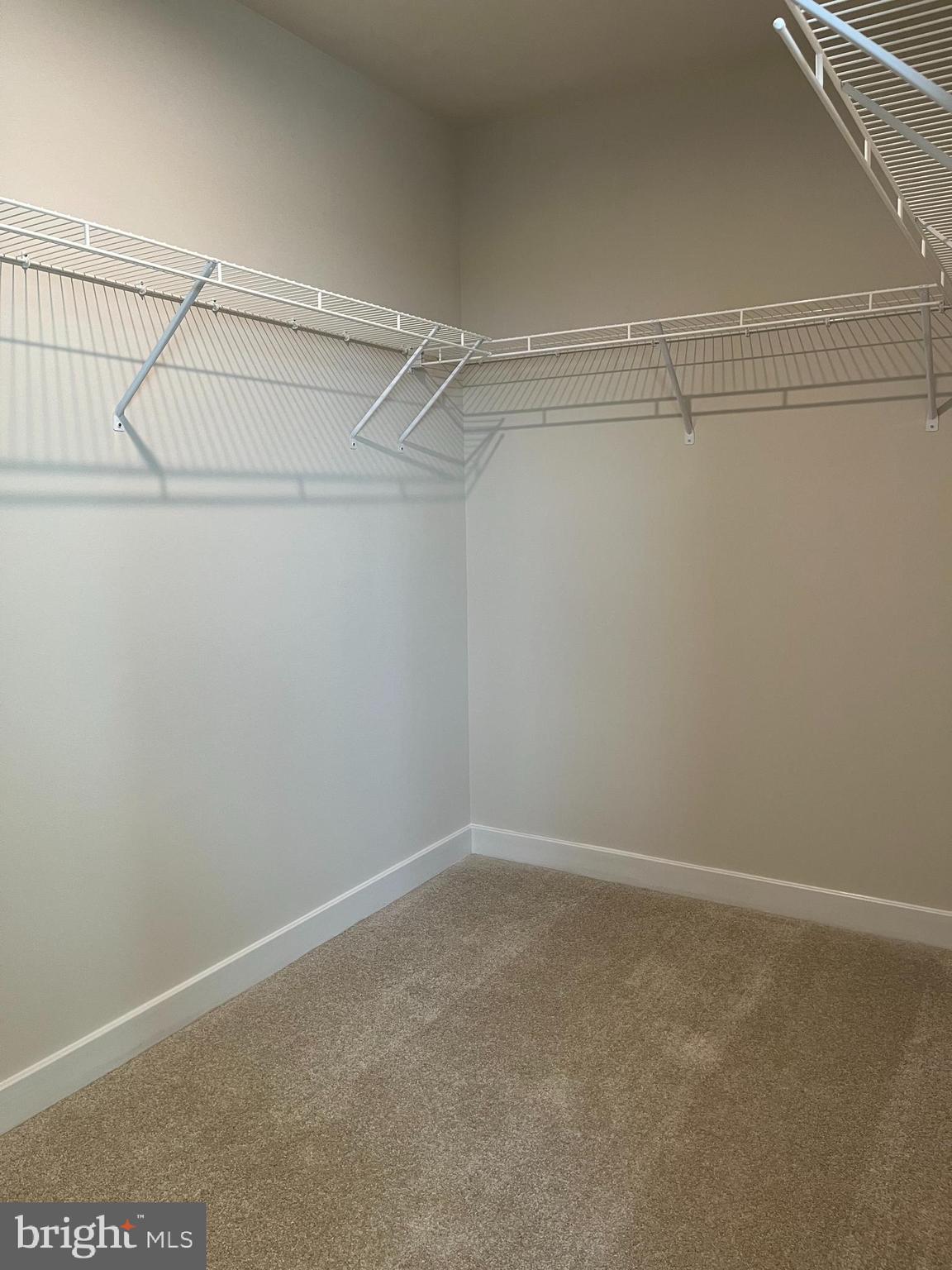 CARDINAL POINTE - Residential Lease