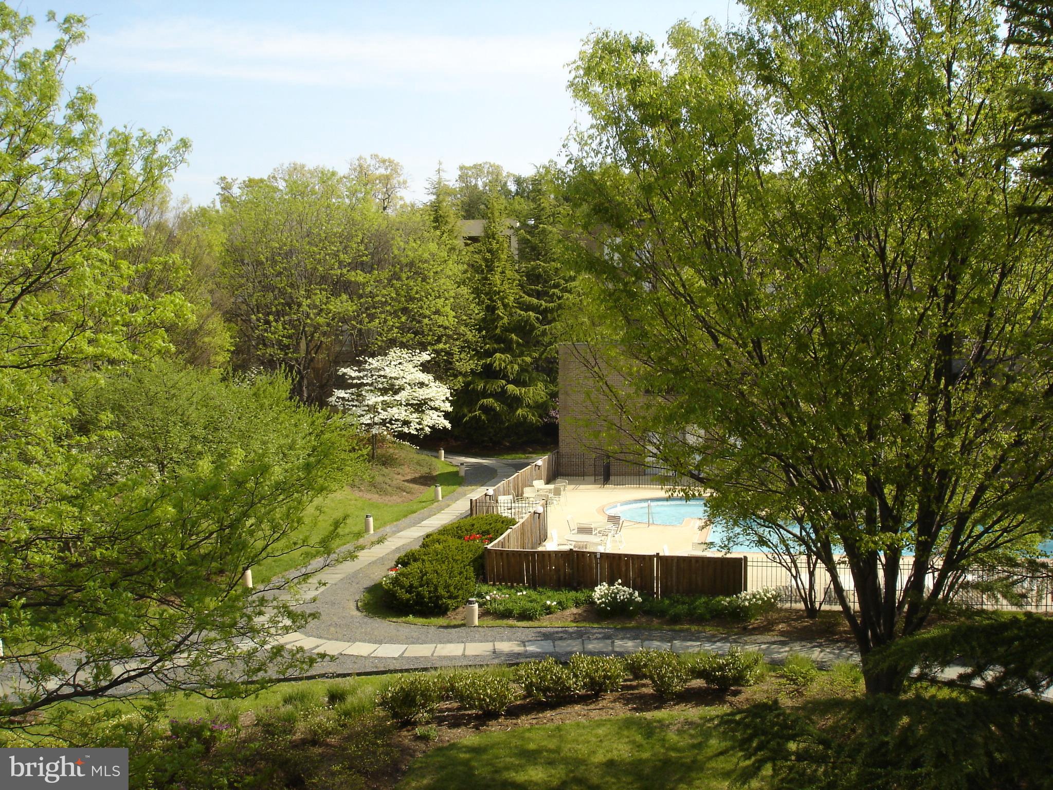 THE PLAZA - Residential Lease