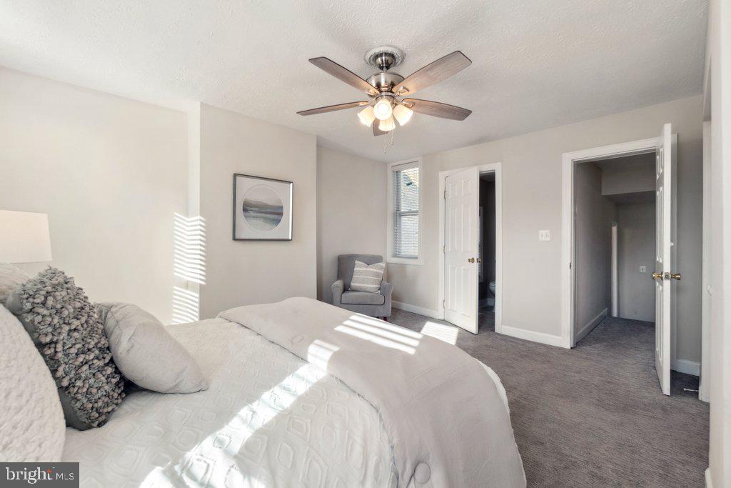 PATTERSON PARK - Residential