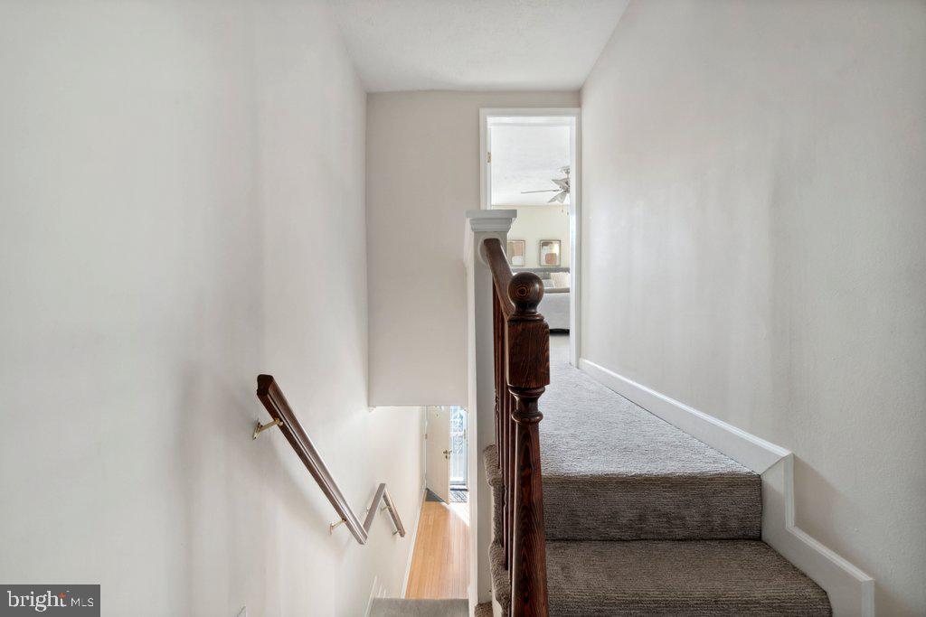 PATTERSON PARK - Residential