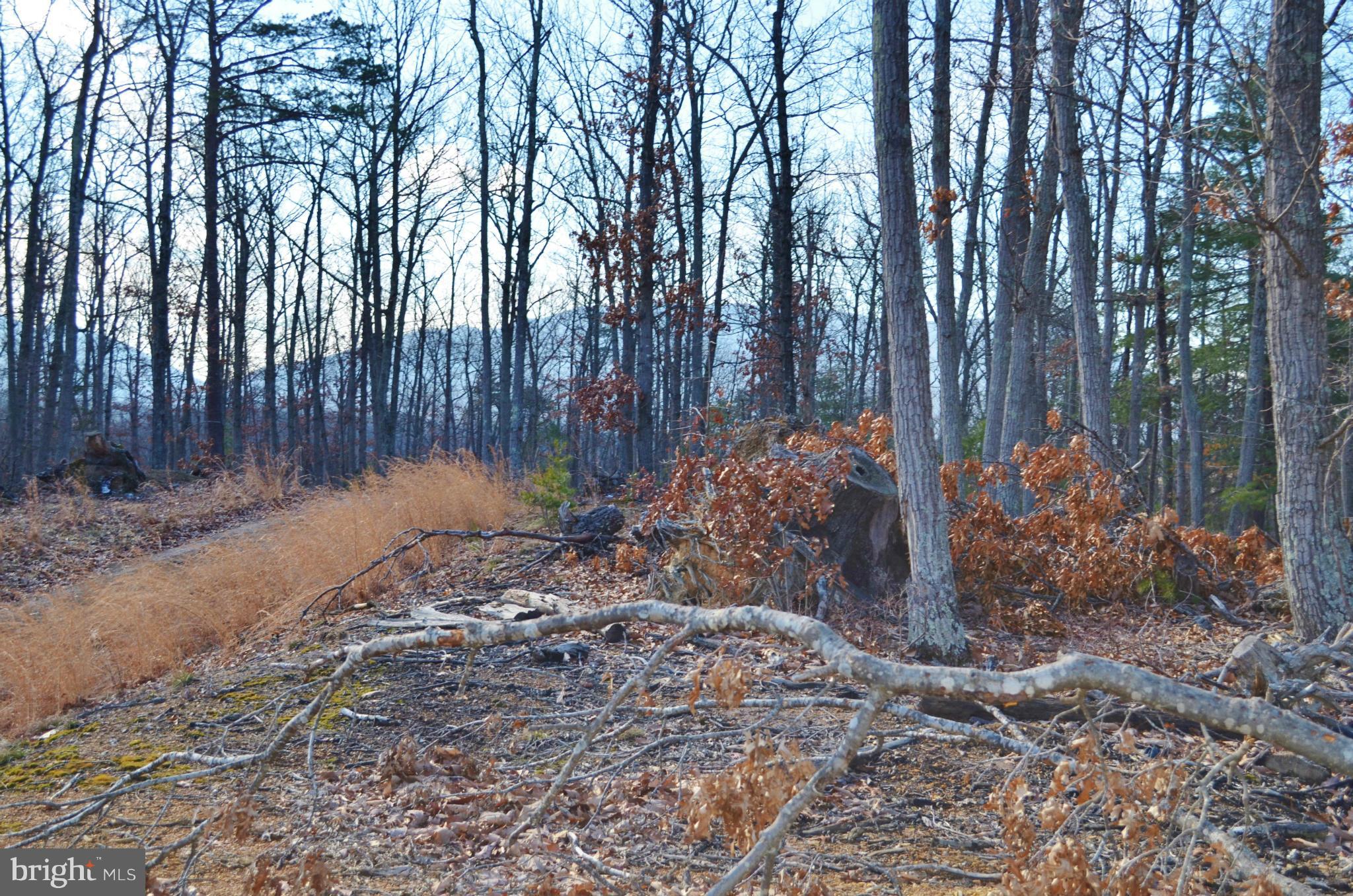 COMFORTER LANE LOT 31