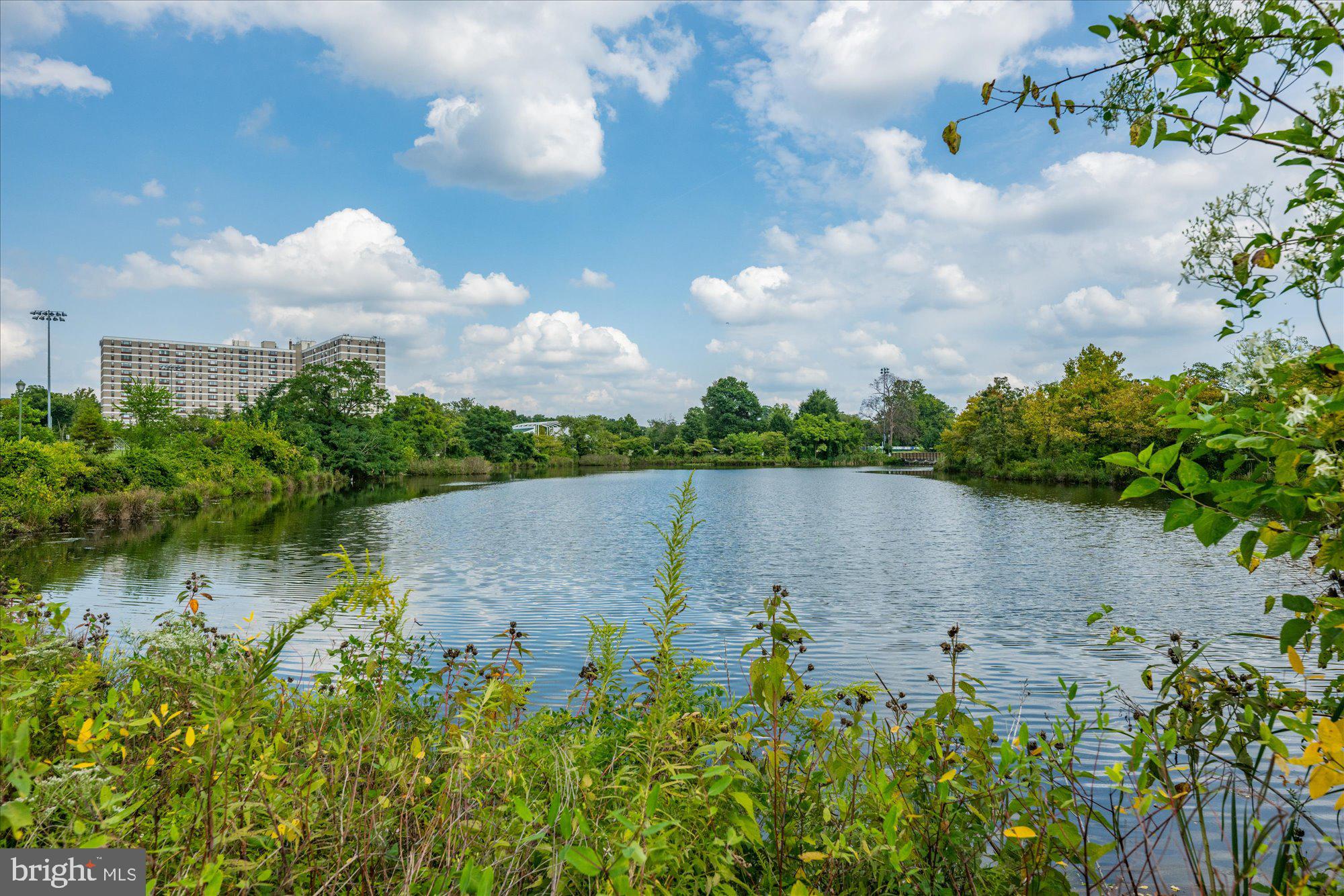 CAMERON STATION - Residential