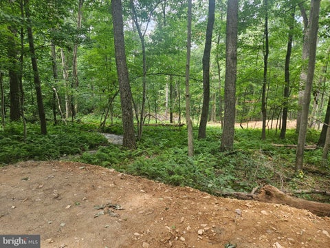 Vacant Land For Sale - 00 Manchester Road<br/> Carroll County, WESTMINSTER, MD 21157