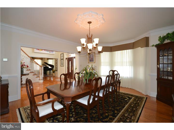 BELAMOUR - Residential