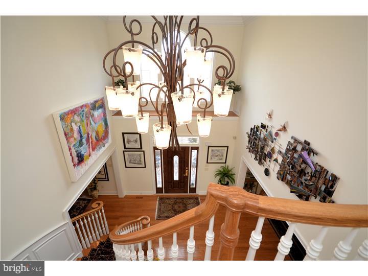 BELAMOUR - Residential