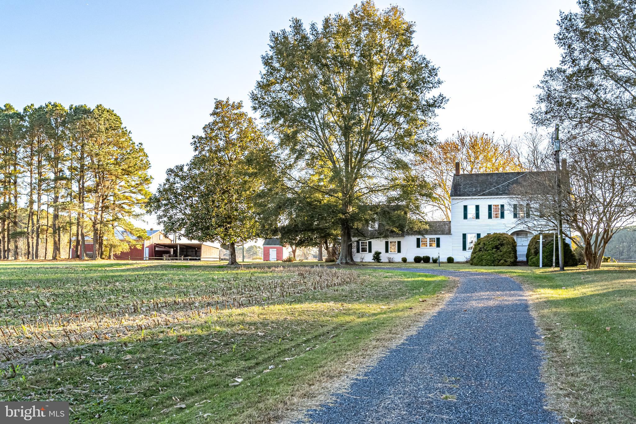 30309 REHOBETH ROAD