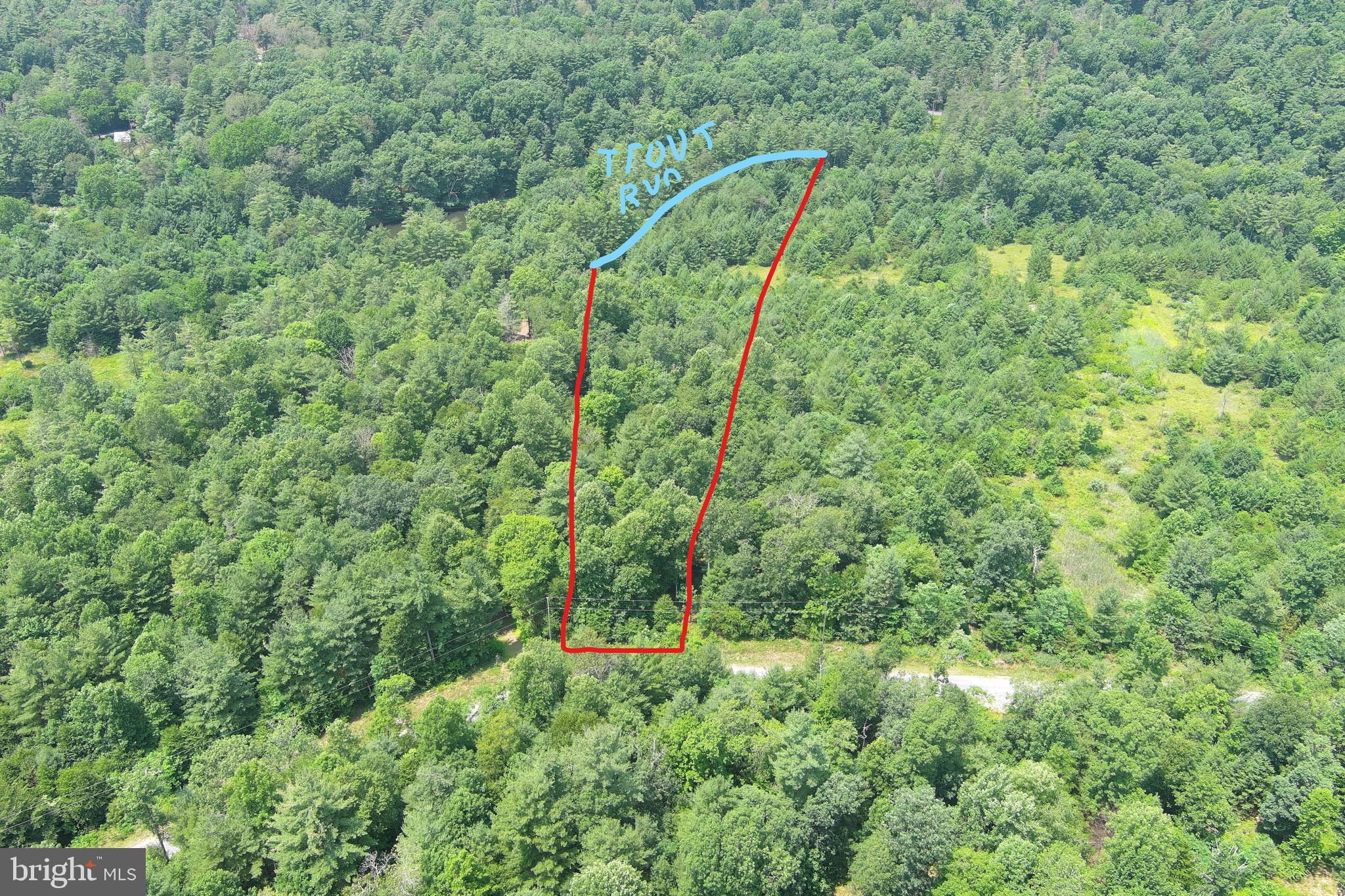 TROUT RUN FOREST - Land