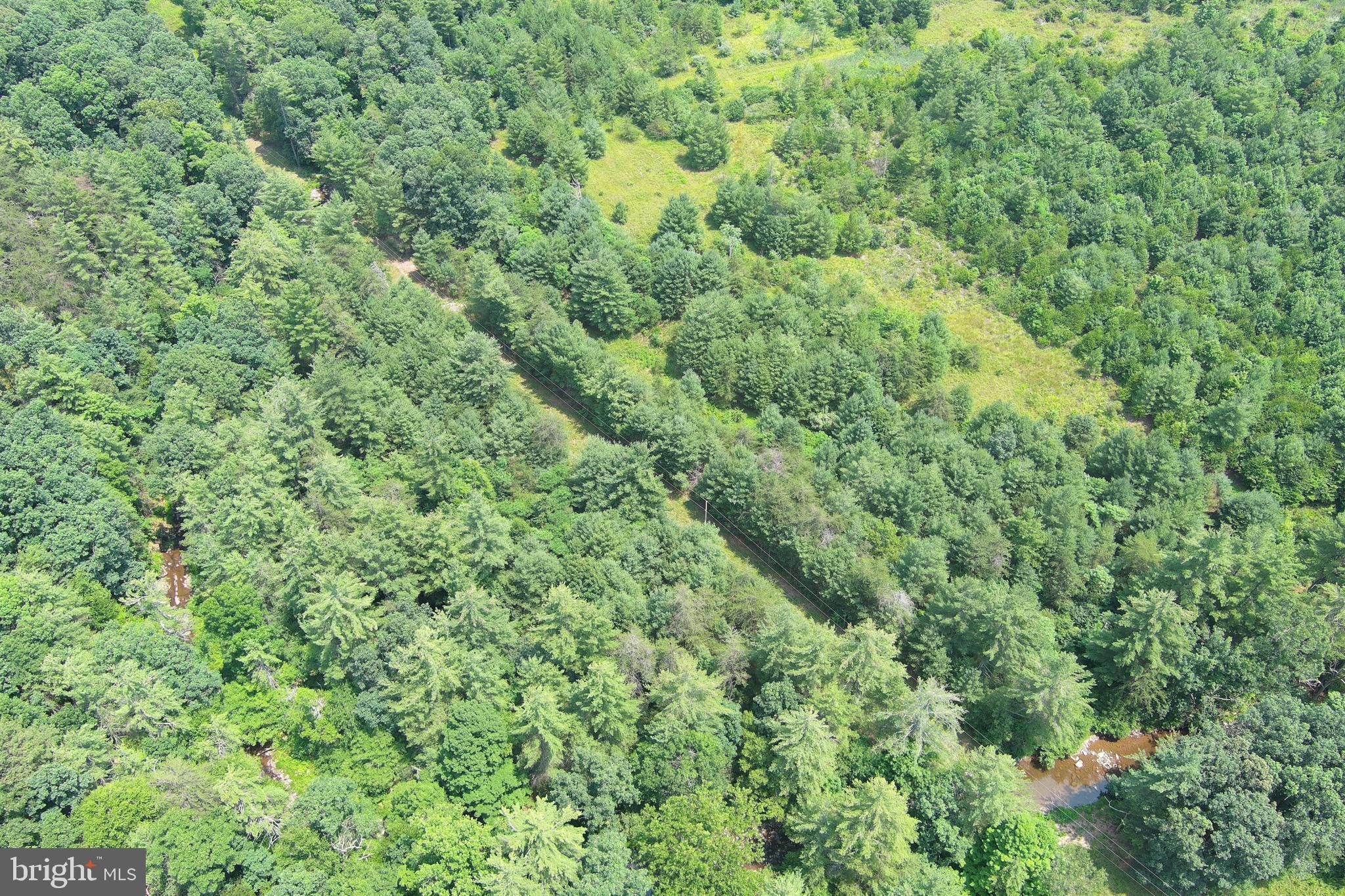 TROUT RUN FOREST - Land