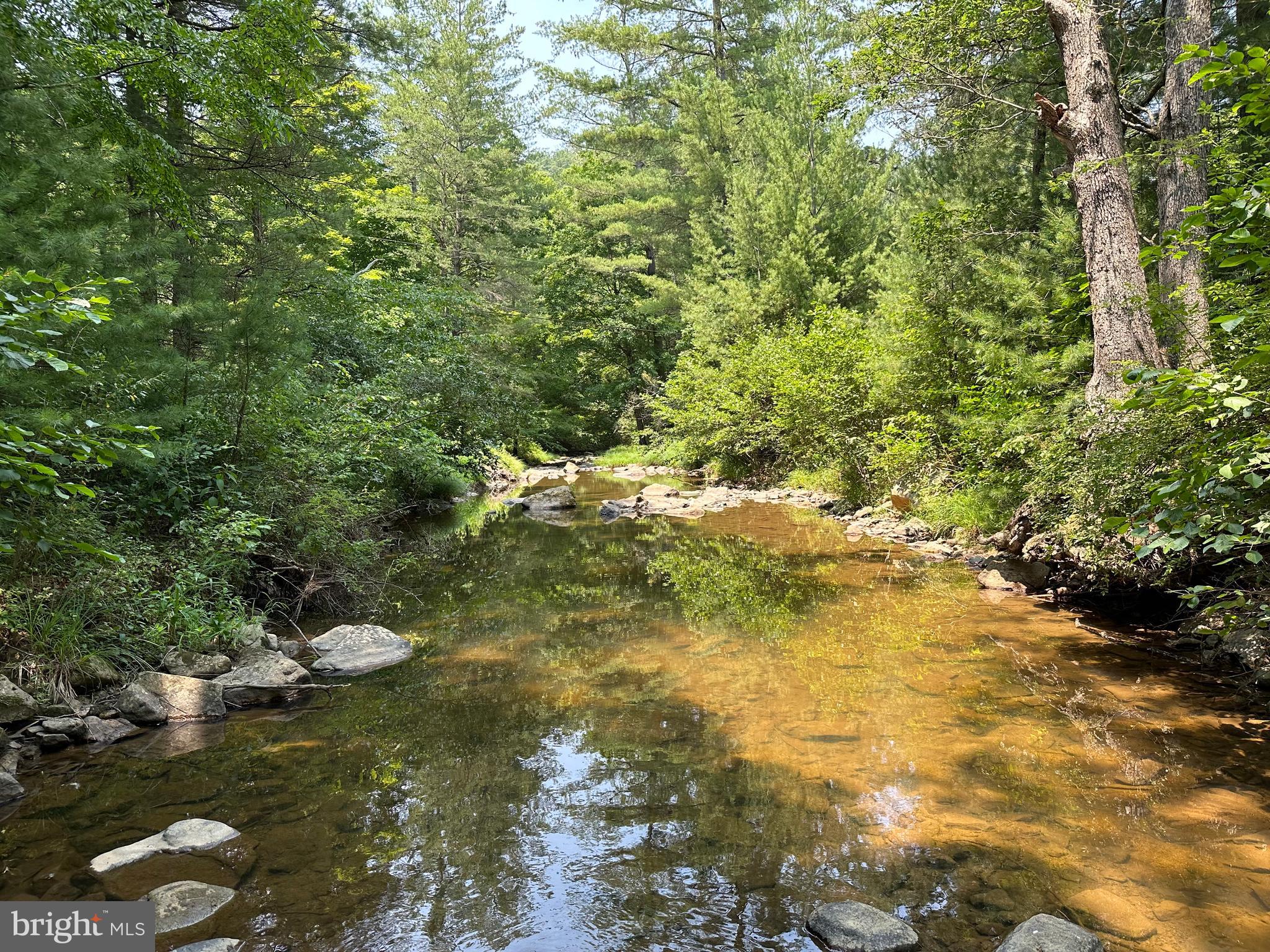 TROUT RUN FOREST - Land