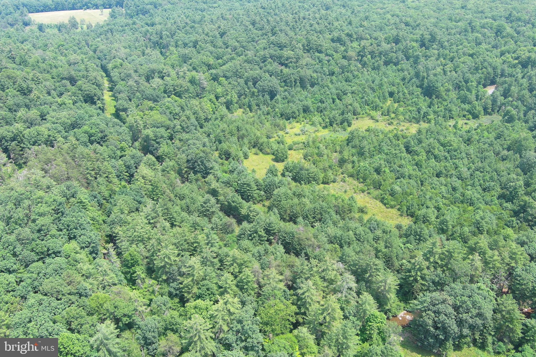 TROUT RUN FOREST - Land