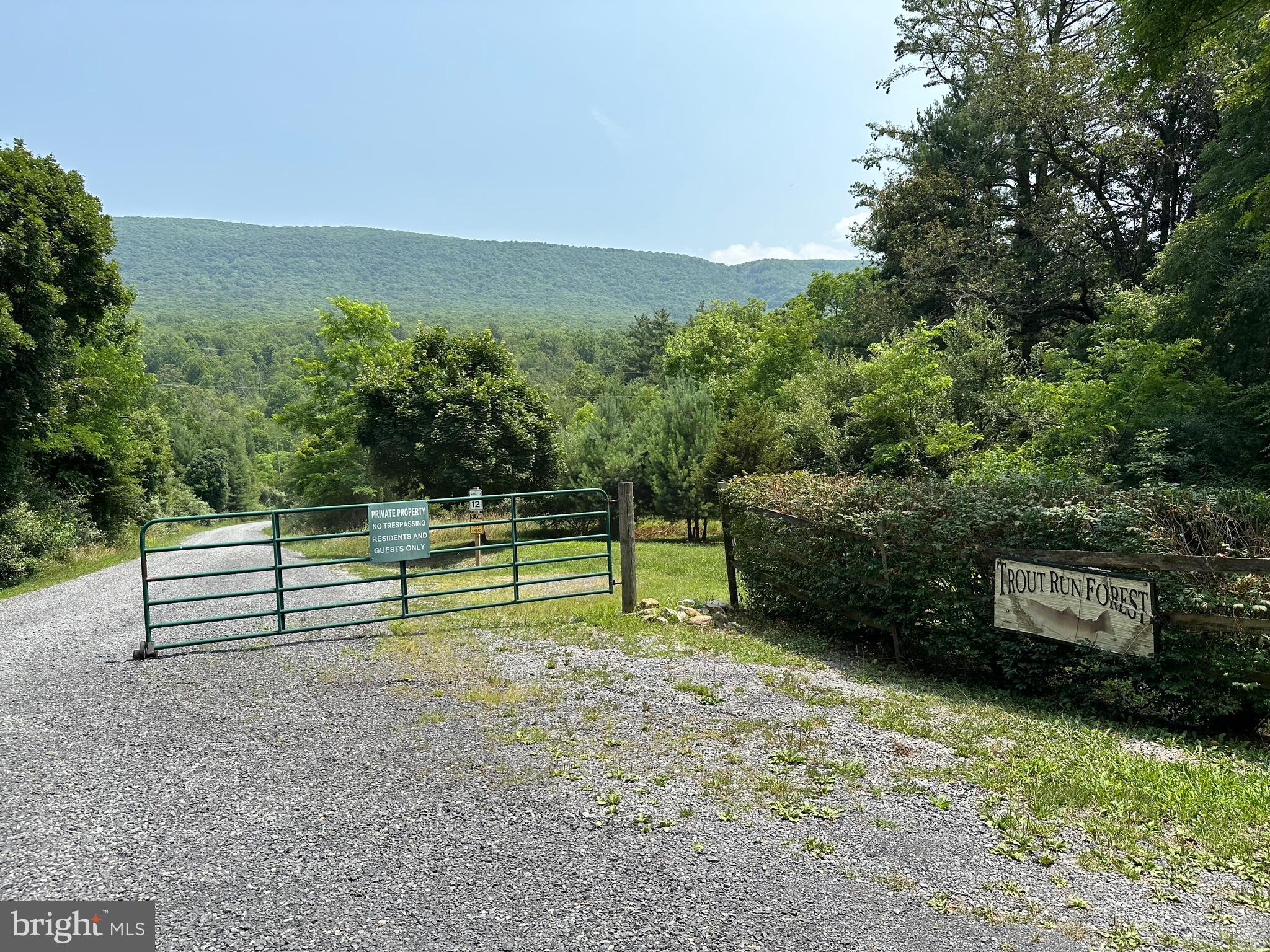 TROUT RUN FOREST - Land
