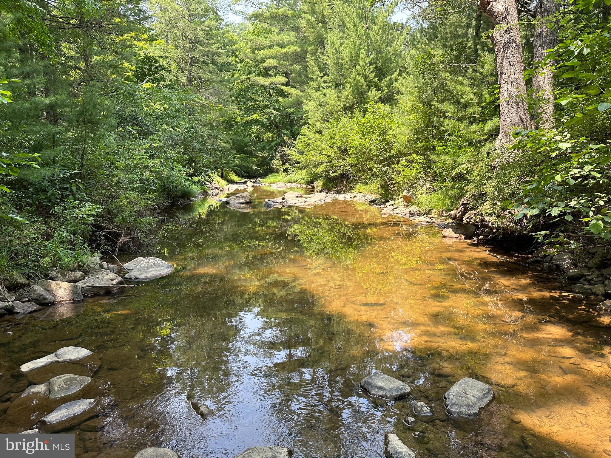 TROUT RUN FOREST - Land