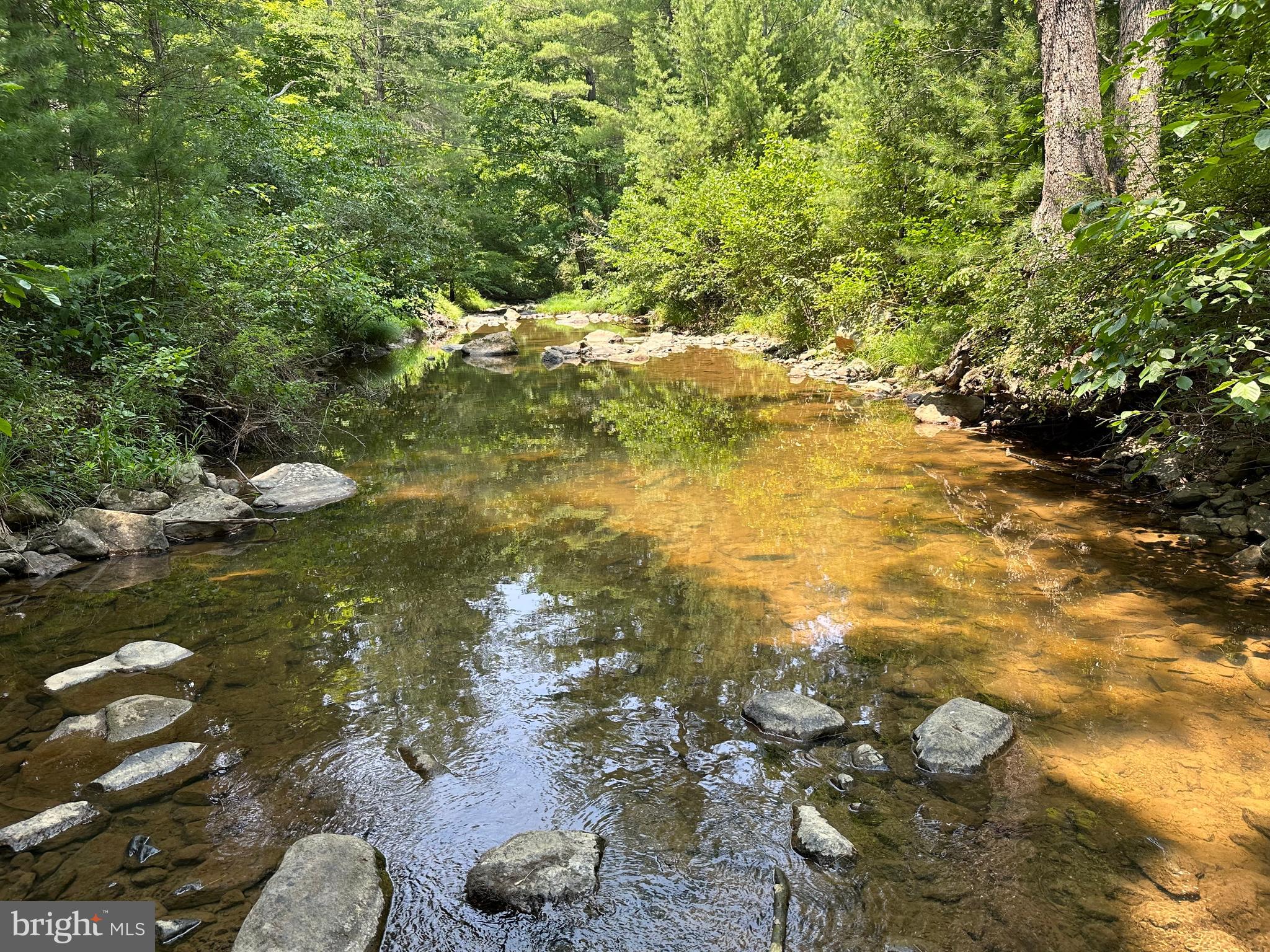 TROUT RUN FOREST - Land