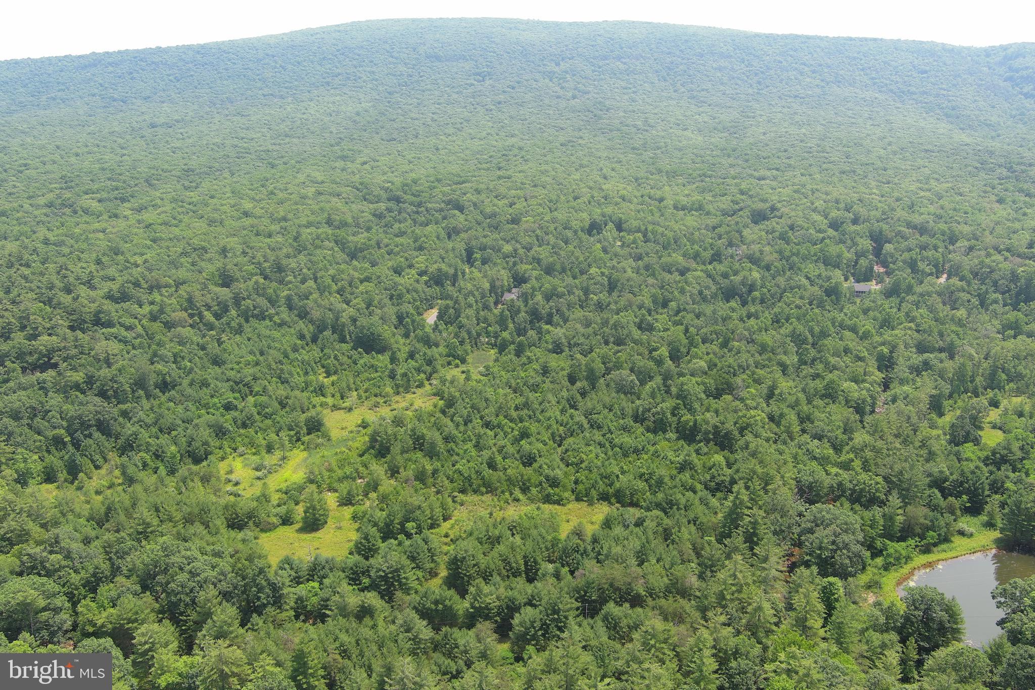 TROUT RUN FOREST - Land