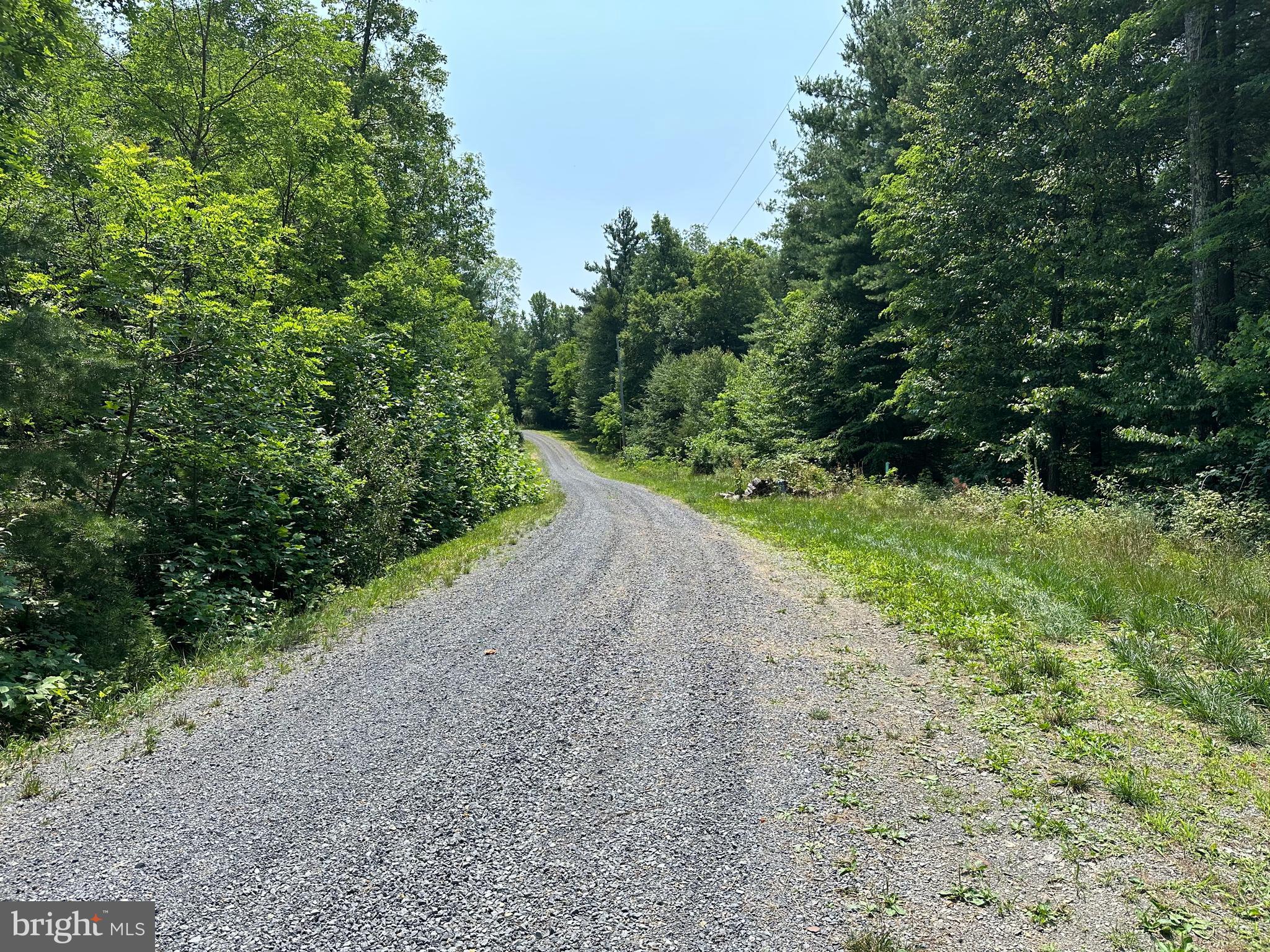 TROUT RUN FOREST - Land