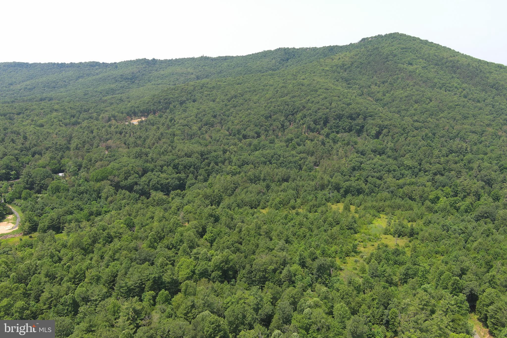 TROUT RUN FOREST - Land
